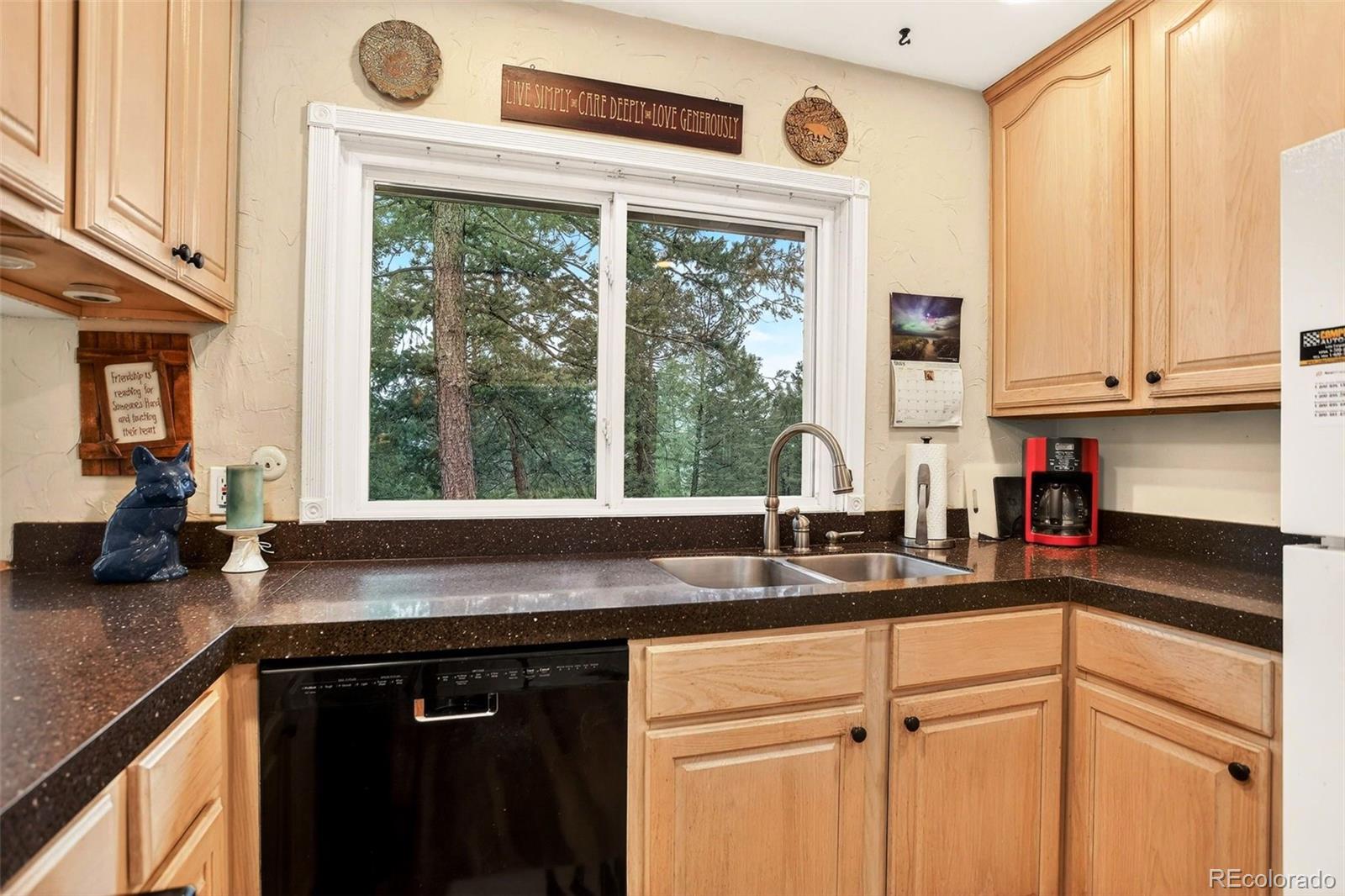 MLS Image #15 for 28221  bonanza drive,evergreen, Colorado
