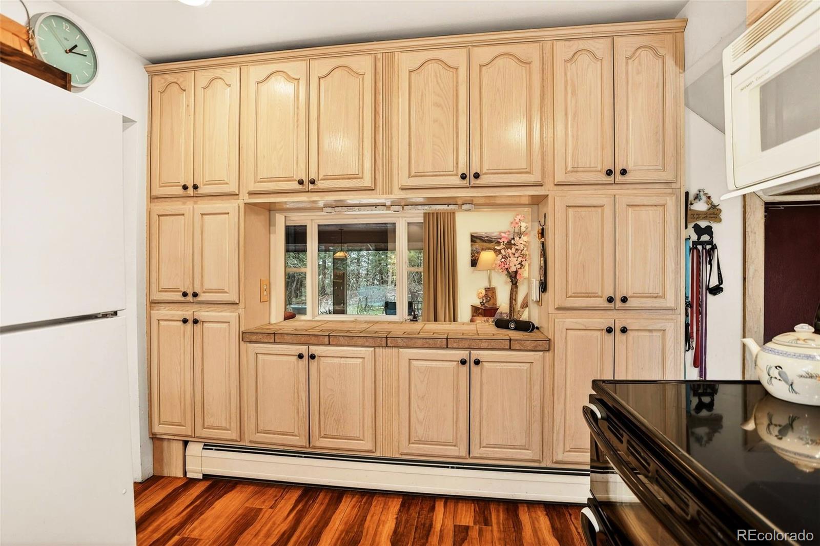 MLS Image #16 for 28221  bonanza drive,evergreen, Colorado