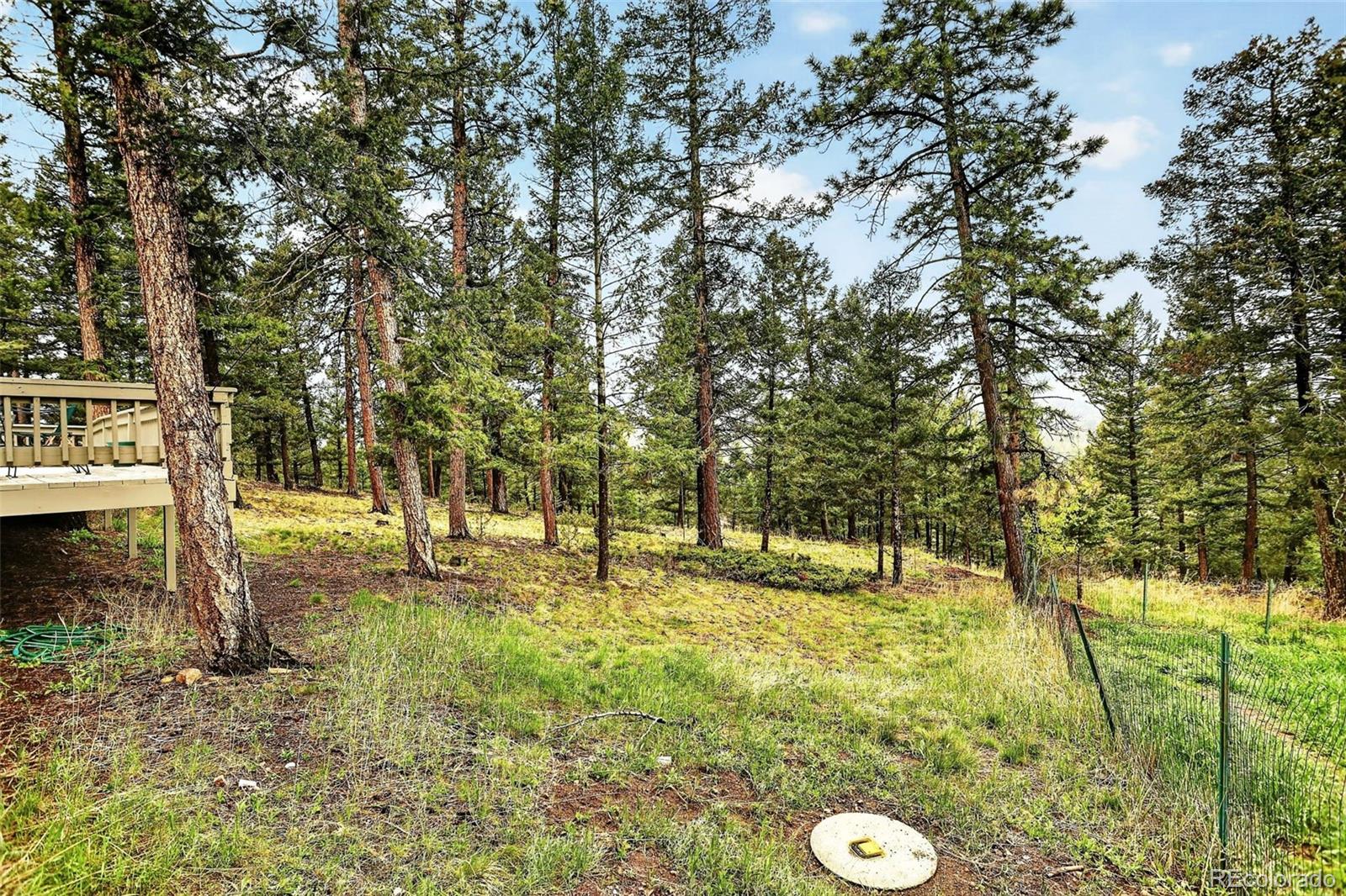 MLS Image #41 for 28221  bonanza drive,evergreen, Colorado