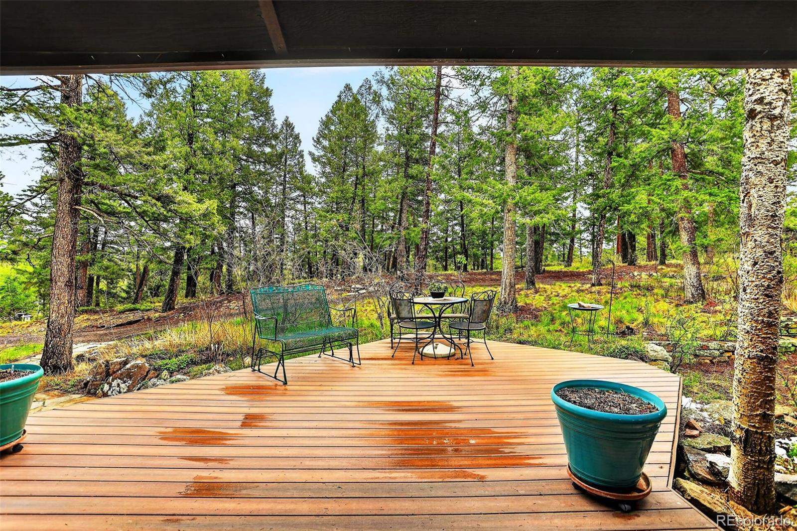 MLS Image #43 for 28221  bonanza drive,evergreen, Colorado