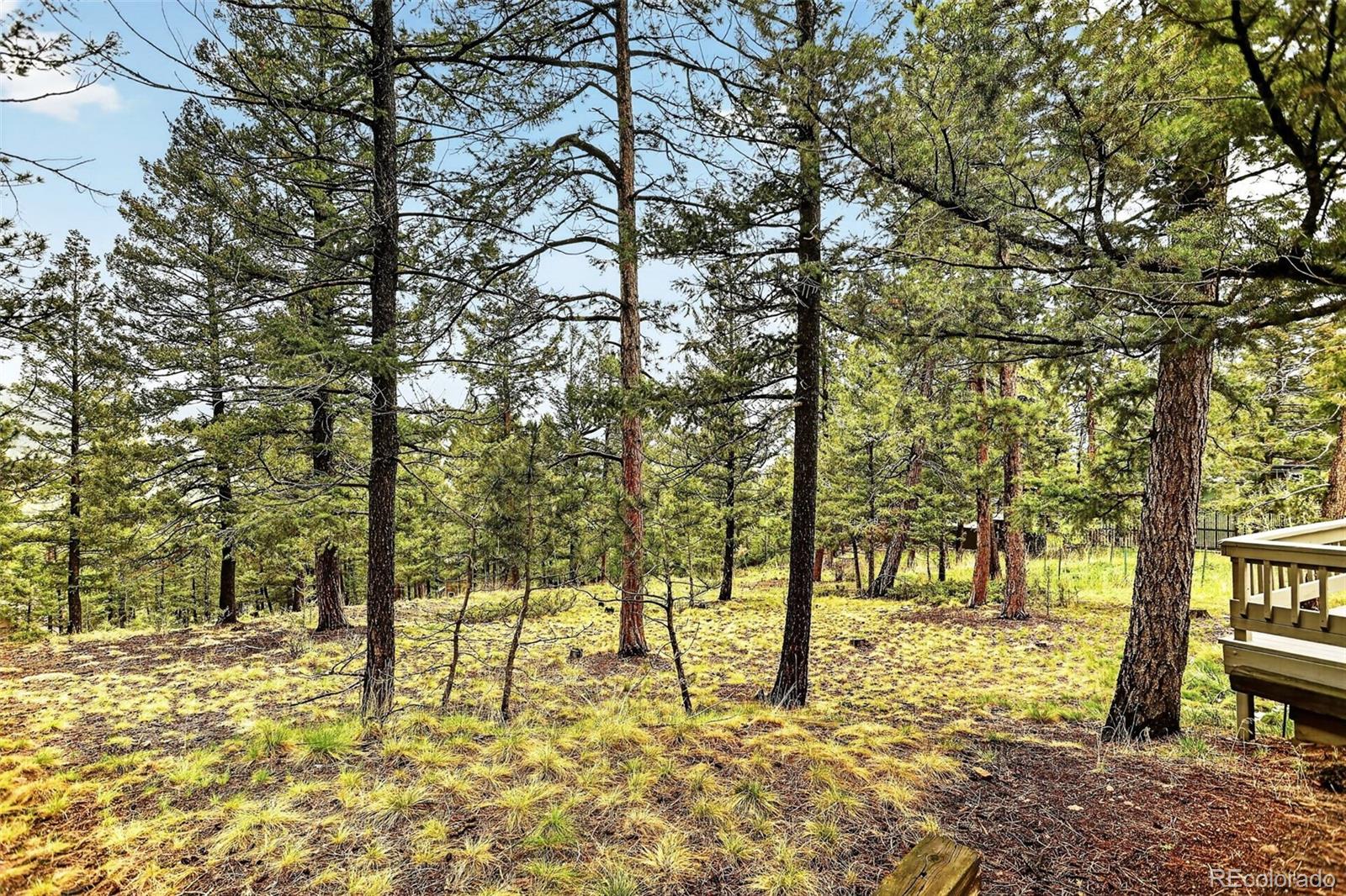 MLS Image #44 for 28221  bonanza drive,evergreen, Colorado
