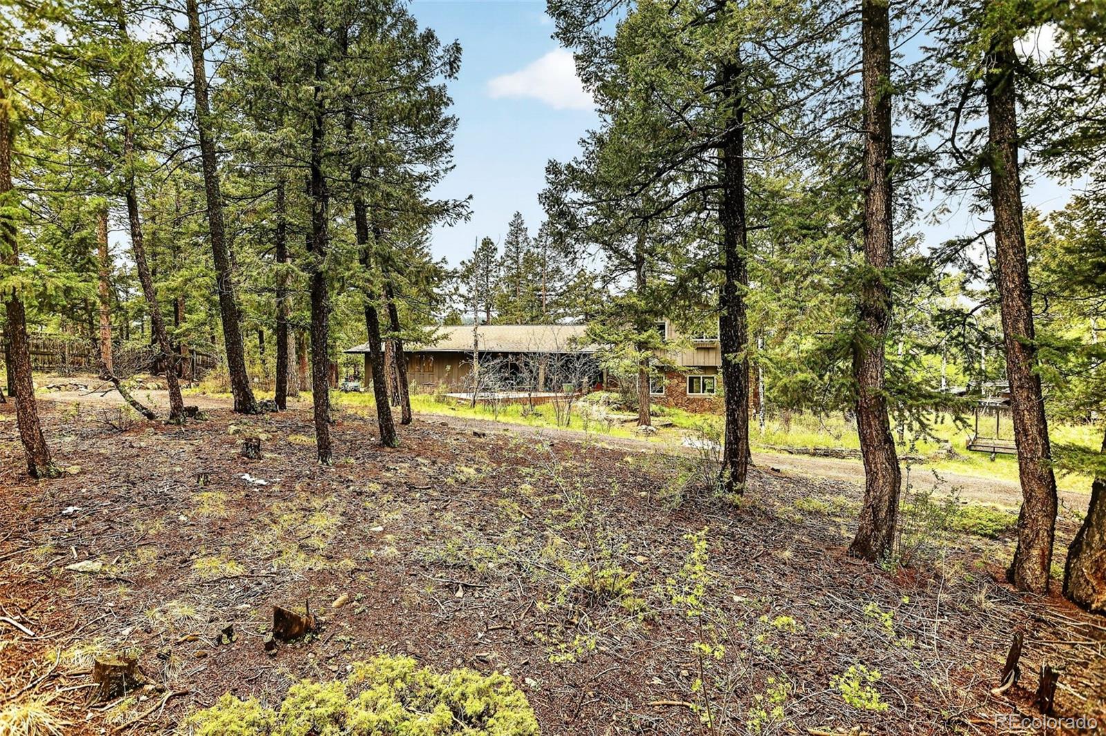 MLS Image #45 for 28221  bonanza drive,evergreen, Colorado