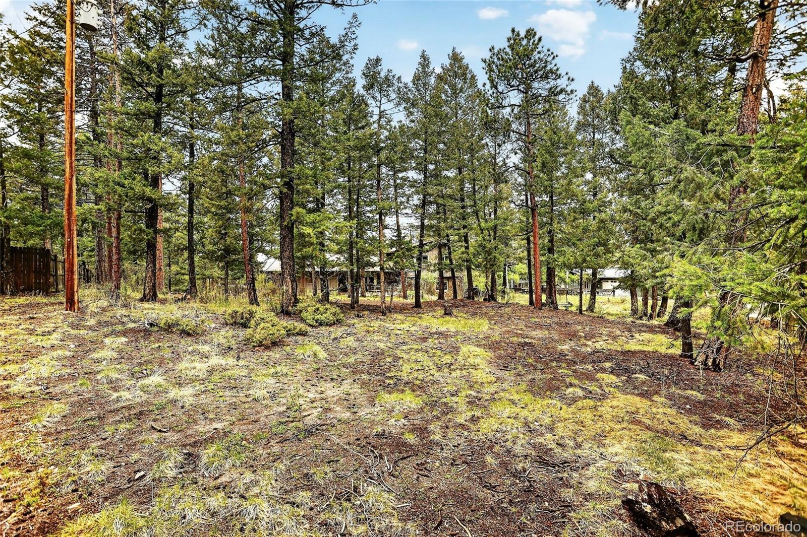 MLS Image #46 for 28221  bonanza drive,evergreen, Colorado