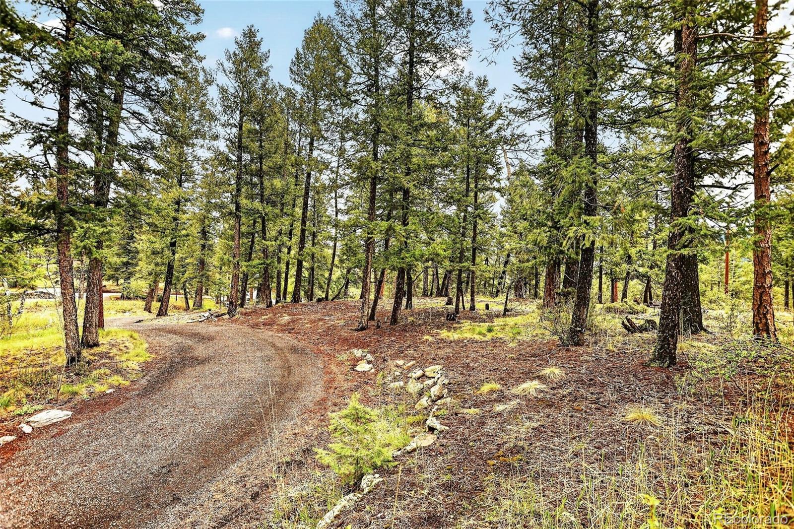 MLS Image #47 for 28221  bonanza drive,evergreen, Colorado