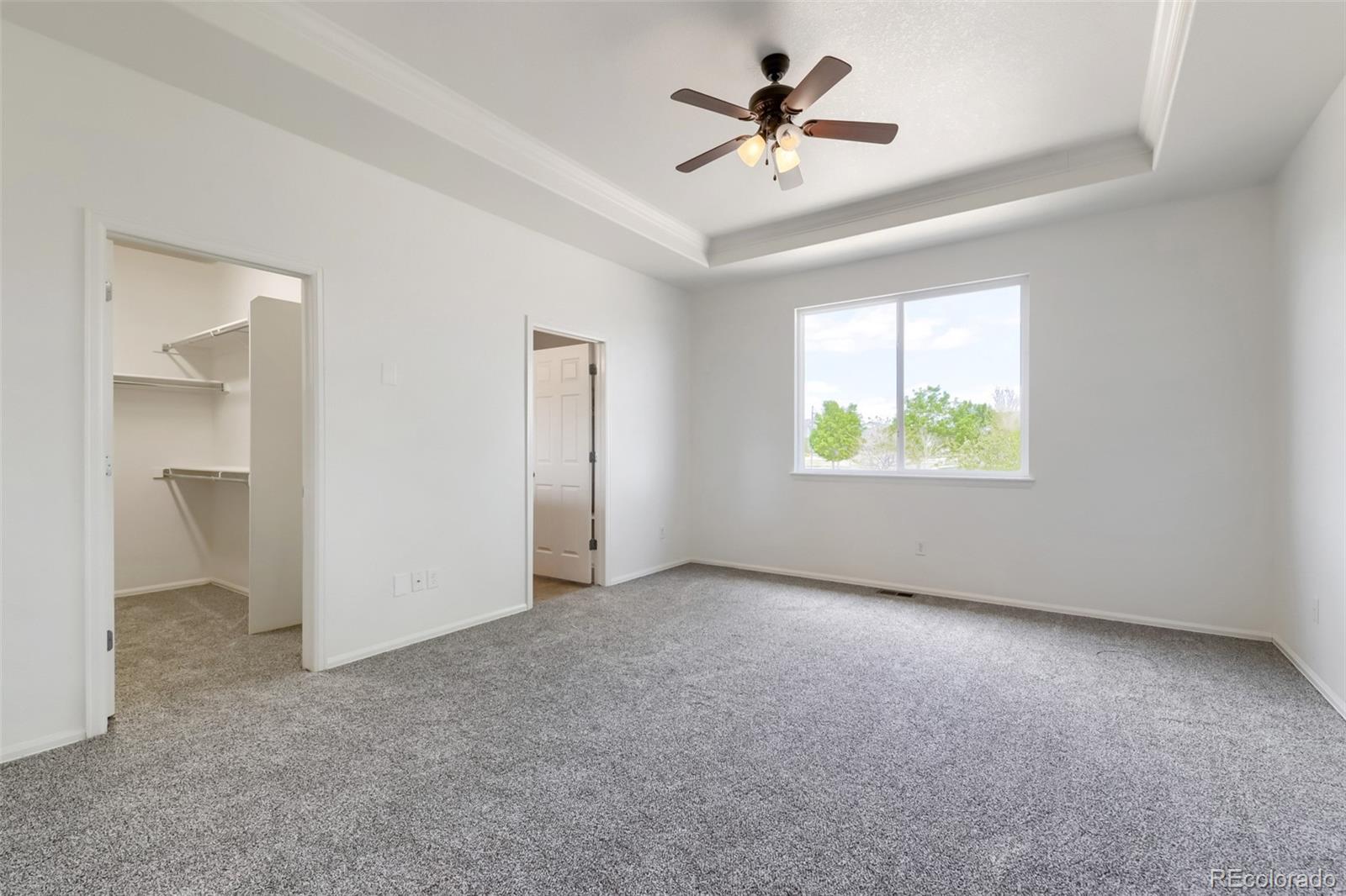 MLS Image #22 for 3302  lump gulch way,erie, Colorado