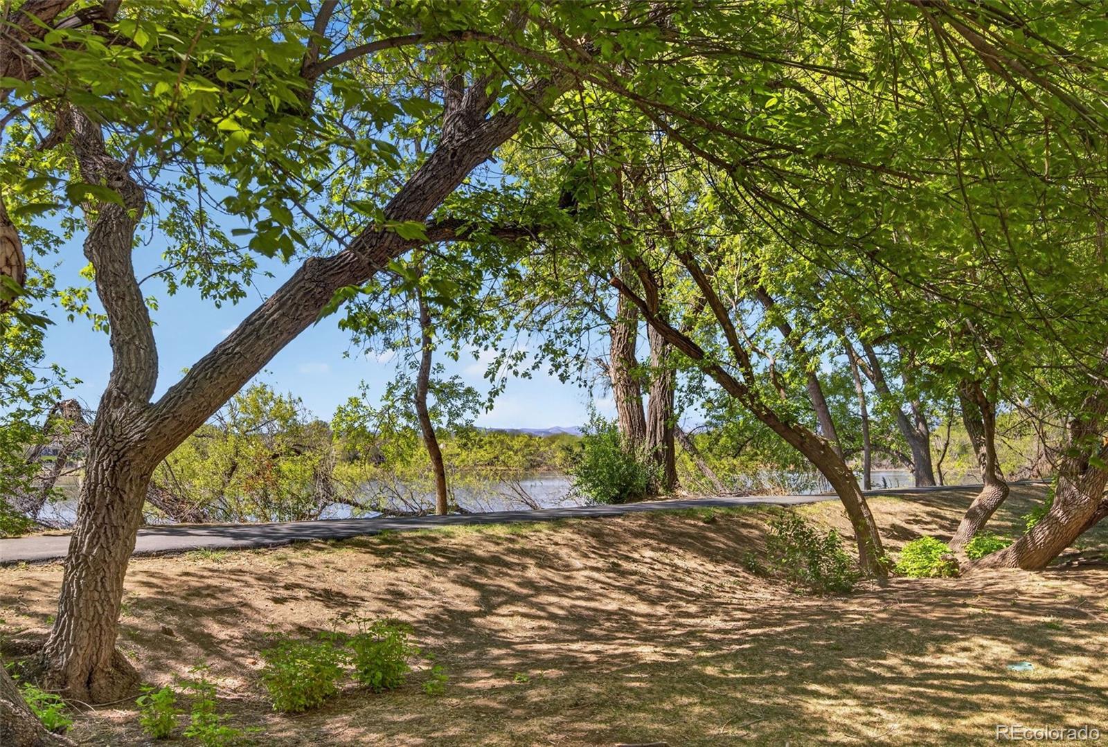 MLS Image #4 for 8625  garland court,arvada, Colorado