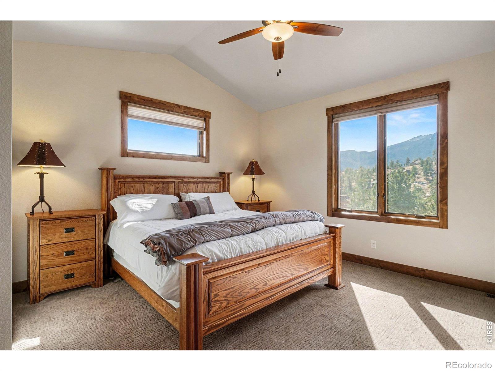 MLS Image #20 for 285  indian trail,estes park, Colorado