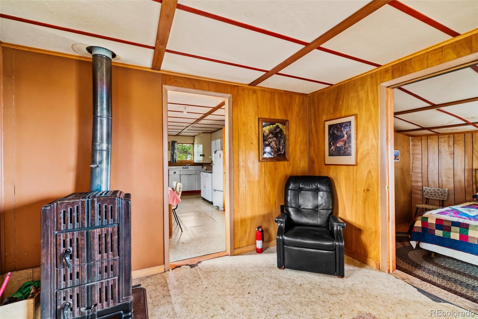 MLS Image #10 for 26  meadow drive,fairplay, Colorado