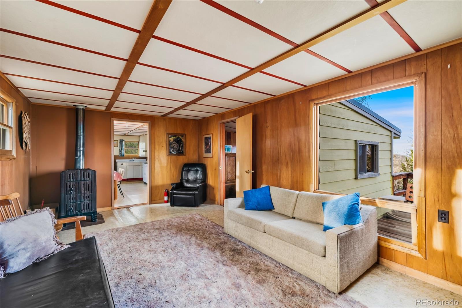 MLS Image #11 for 26  meadow drive,fairplay, Colorado