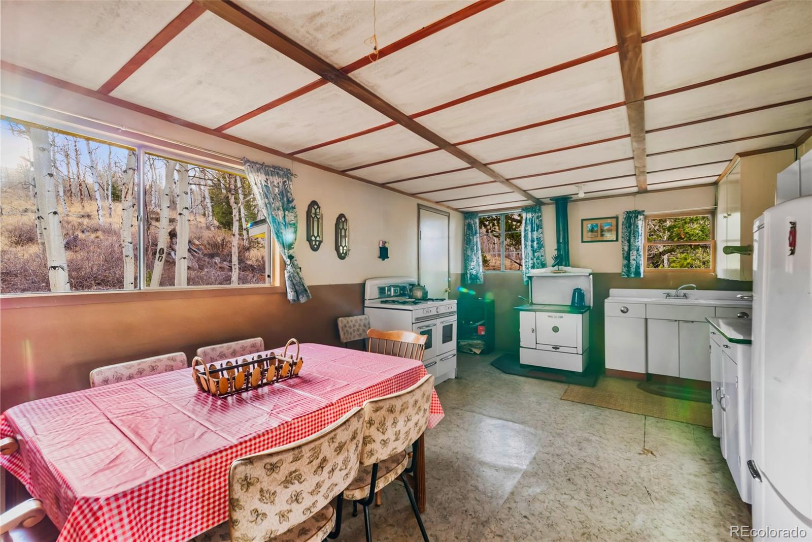MLS Image #13 for 26  meadow drive,fairplay, Colorado