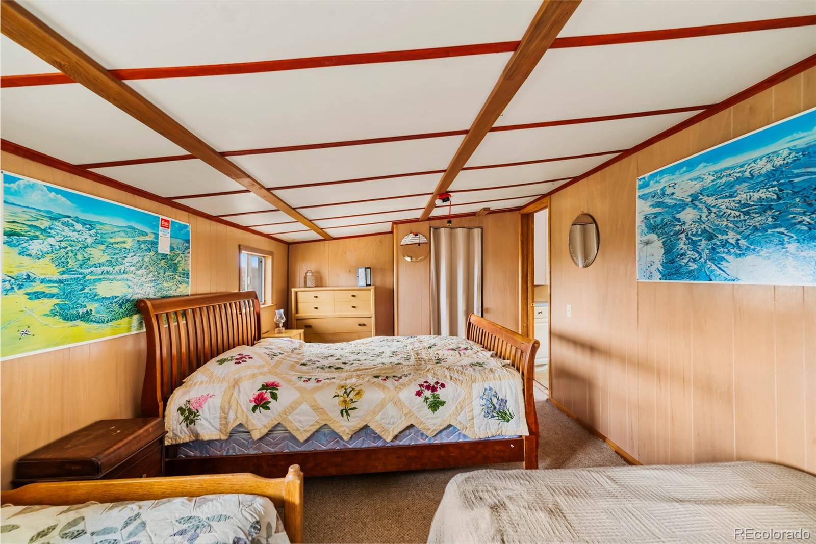 MLS Image #19 for 26  meadow drive,fairplay, Colorado