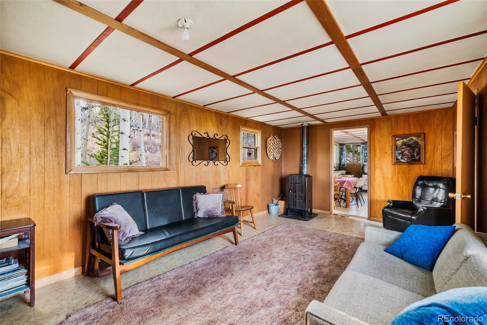 MLS Image #2 for 26  meadow drive,fairplay, Colorado