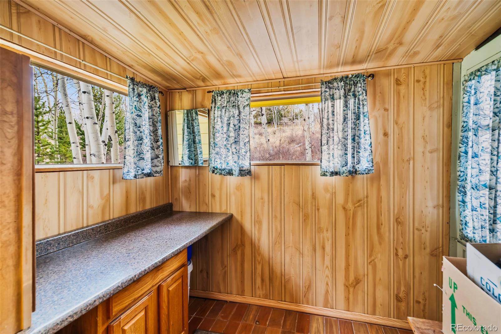 MLS Image #22 for 26  meadow drive,fairplay, Colorado