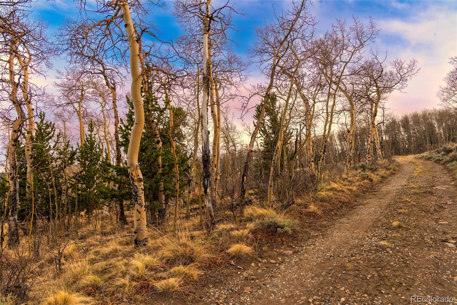 MLS Image #24 for 26  meadow drive,fairplay, Colorado
