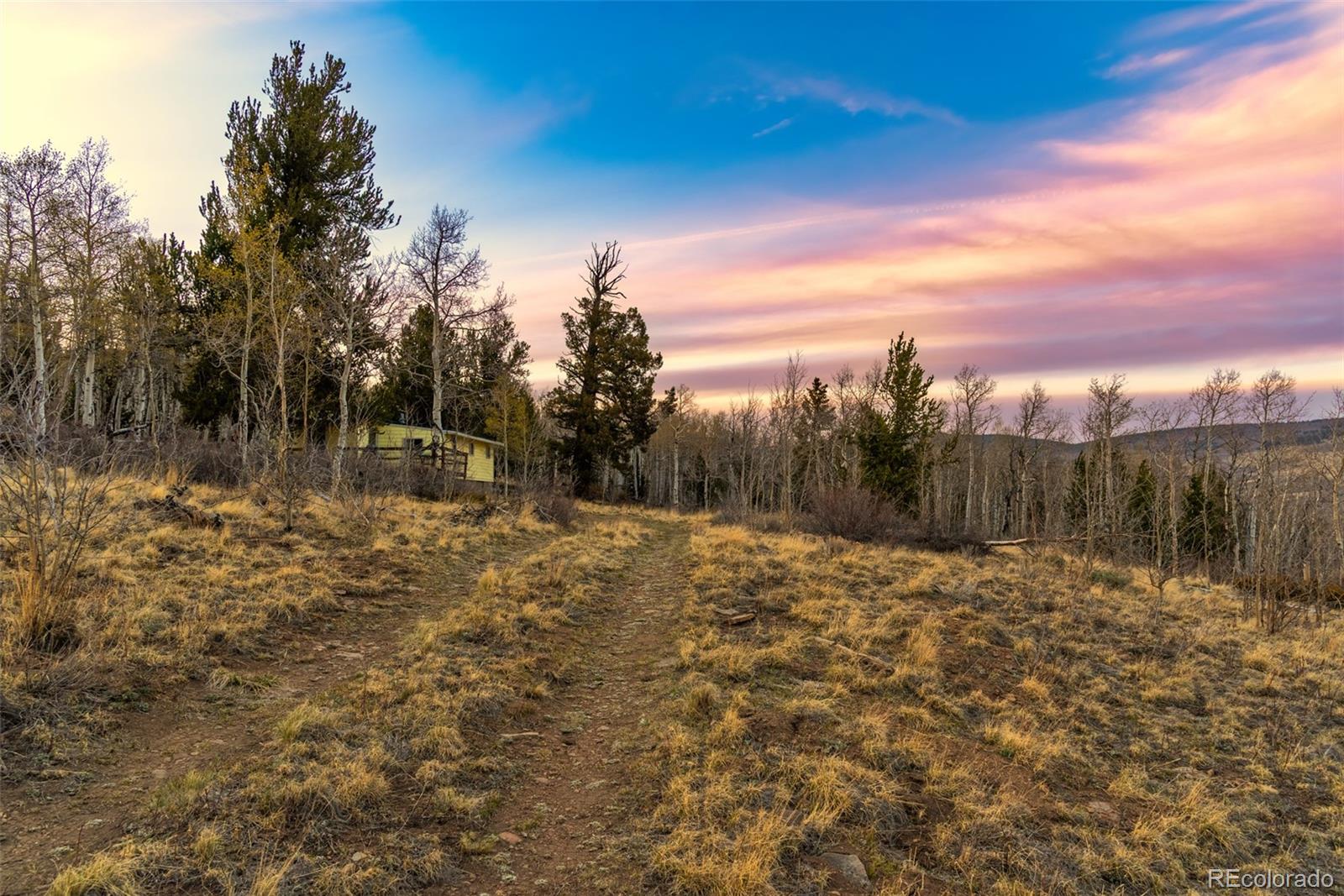 MLS Image #27 for 26  meadow drive,fairplay, Colorado