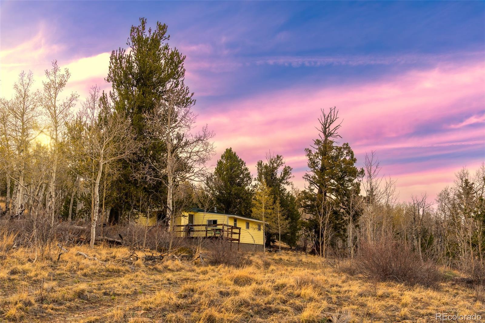 MLS Image #29 for 26  meadow drive,fairplay, Colorado