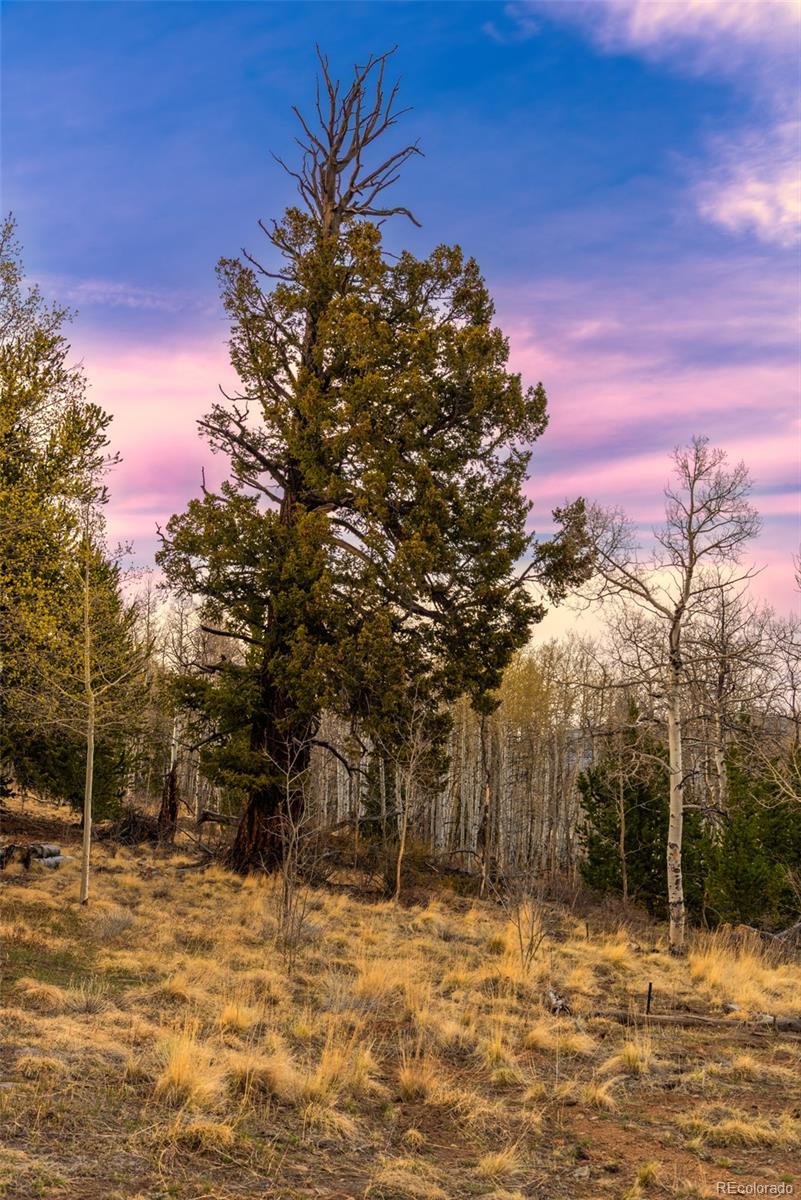 MLS Image #30 for 26  meadow drive,fairplay, Colorado