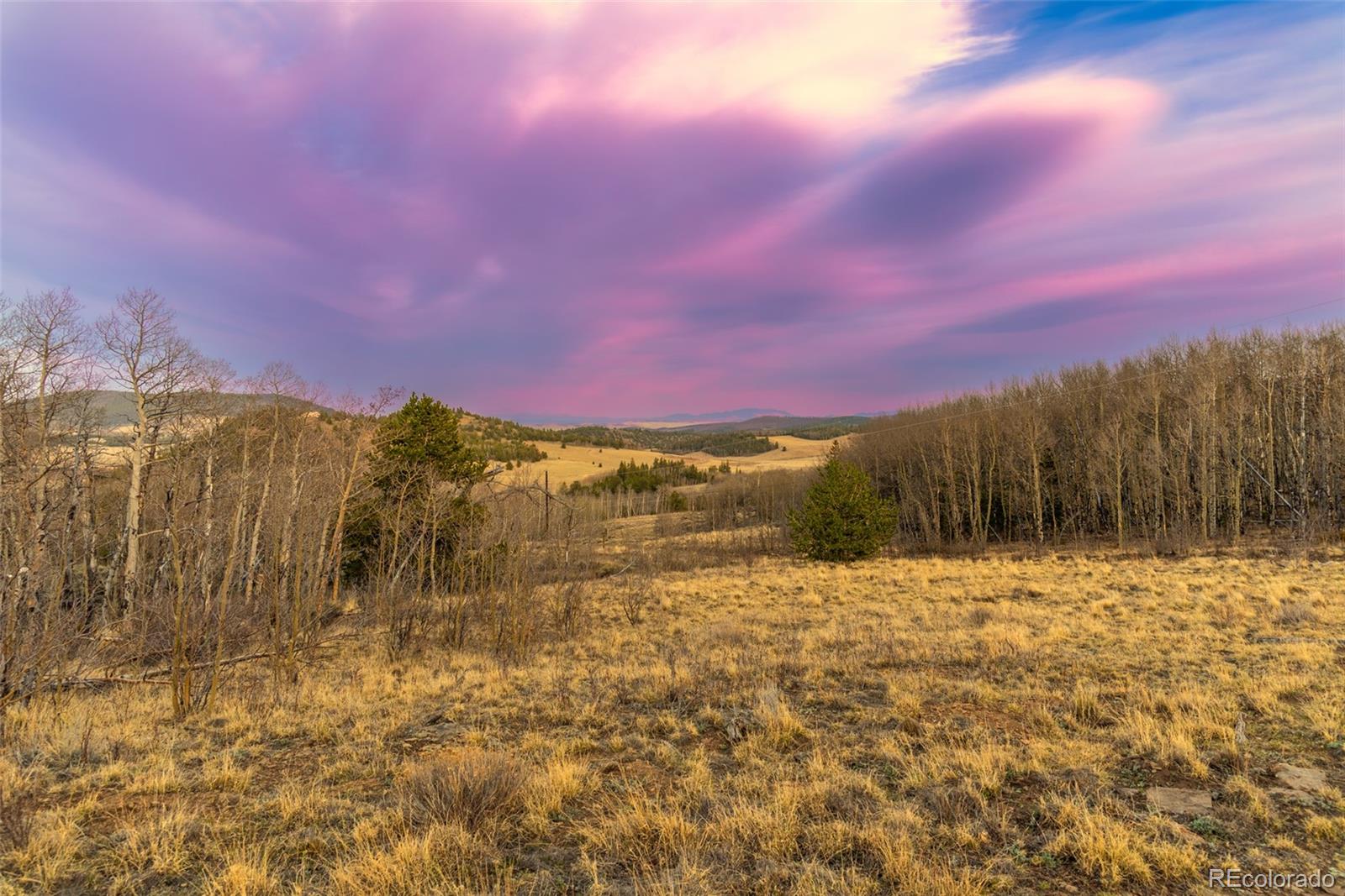 MLS Image #31 for 26  meadow drive,fairplay, Colorado