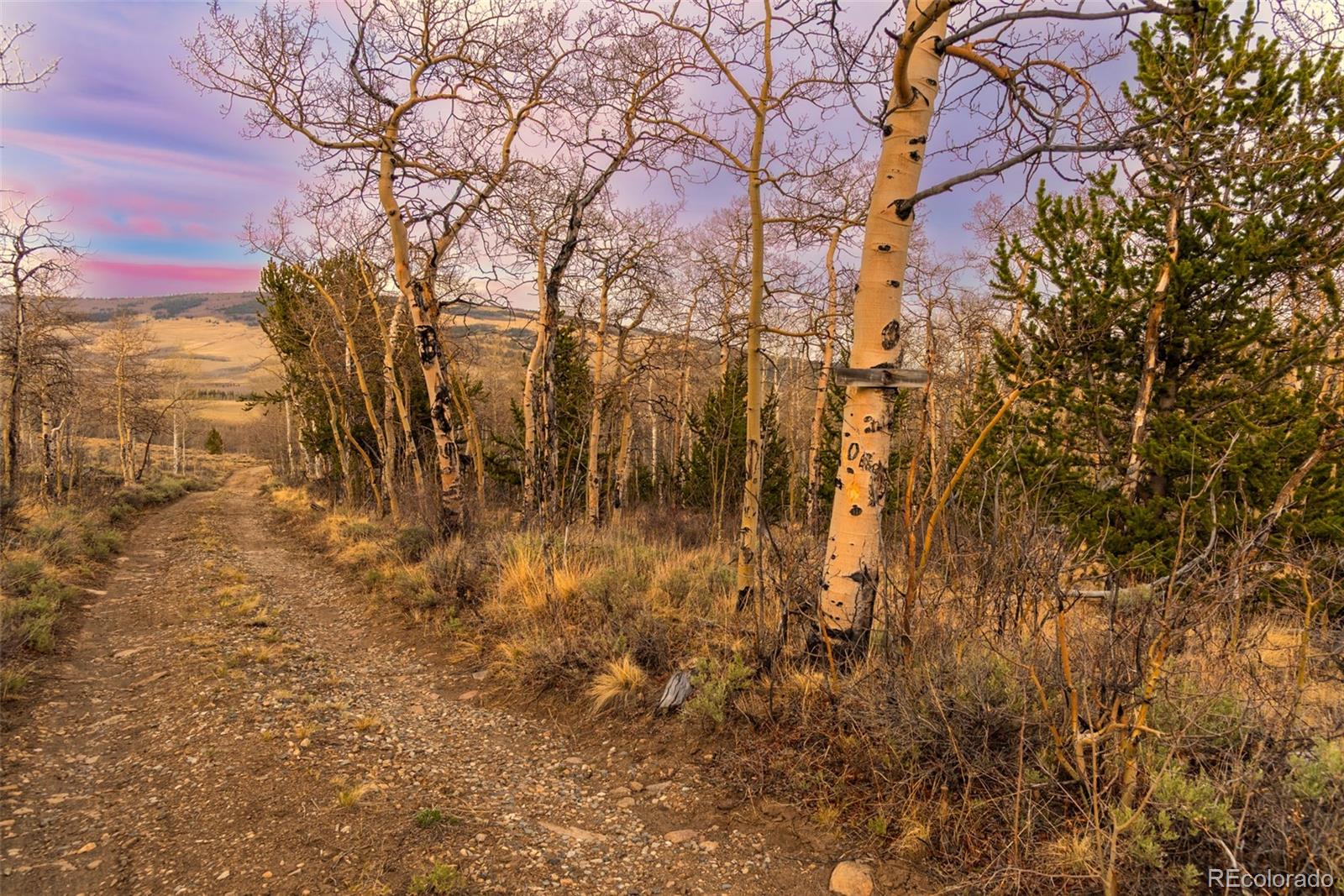 MLS Image #33 for 26  meadow drive,fairplay, Colorado