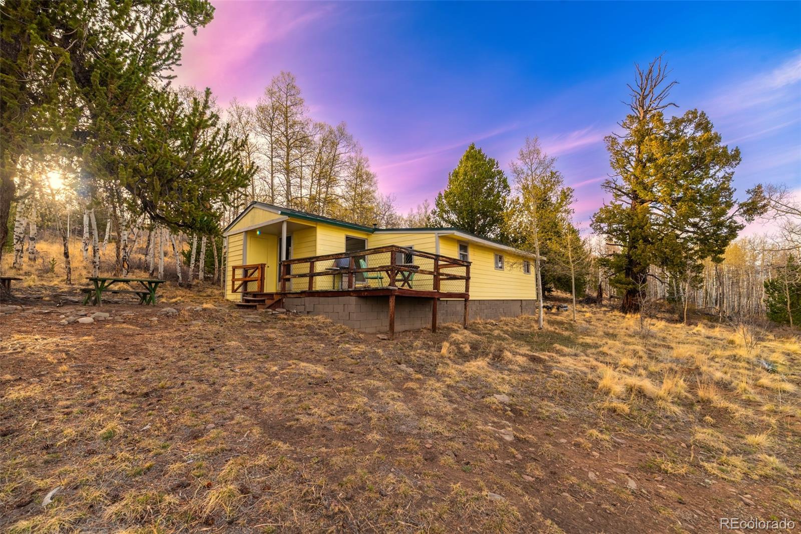 MLS Image #5 for 26  meadow drive,fairplay, Colorado