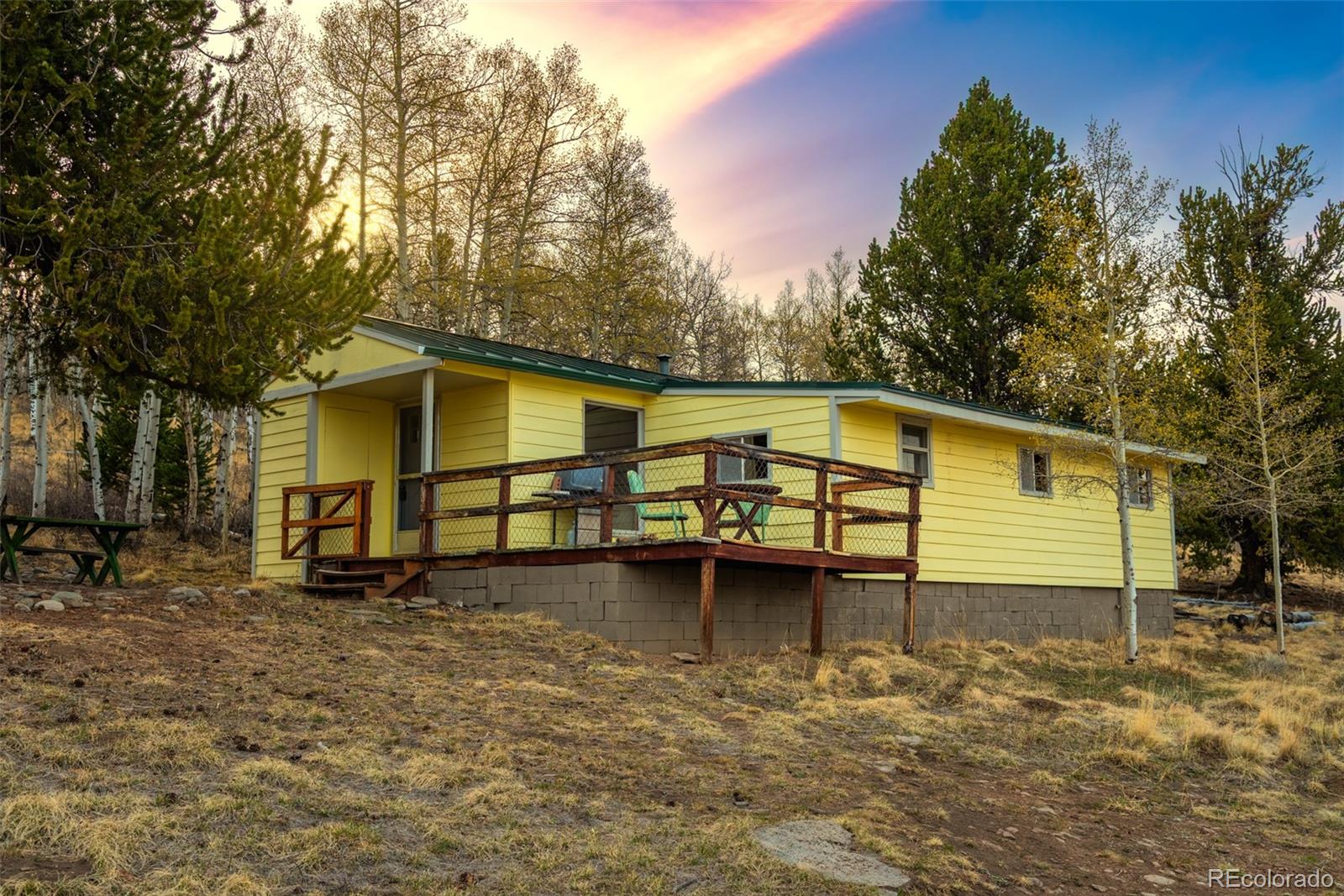 MLS Image #8 for 26  meadow drive,fairplay, Colorado