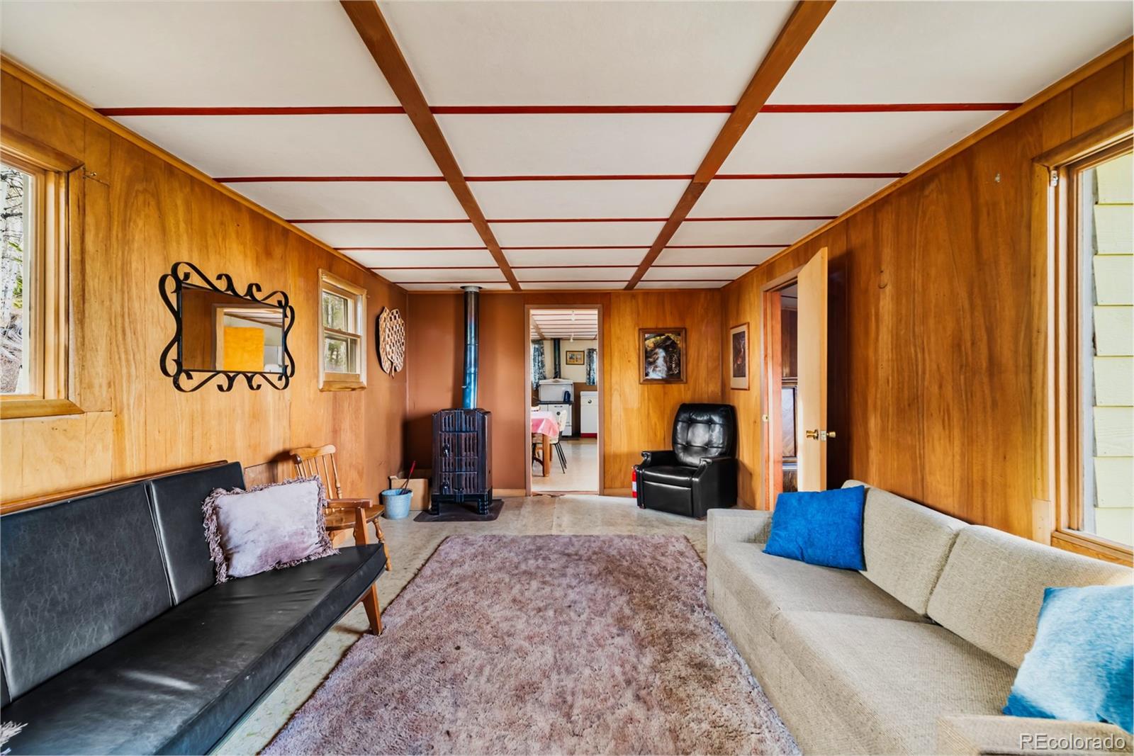 MLS Image #9 for 26  meadow drive,fairplay, Colorado