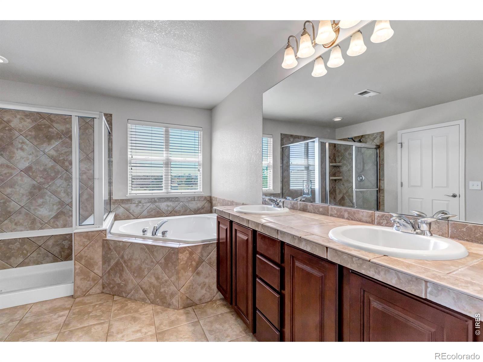 MLS Image #22 for 17016  pale anemone street,parker, Colorado