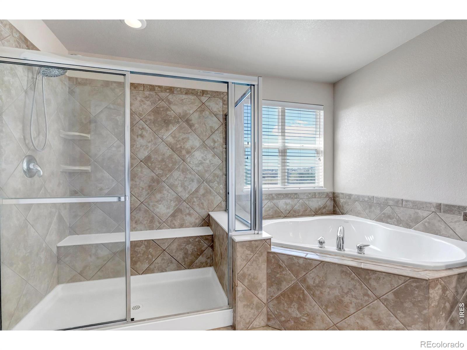 MLS Image #23 for 17016  pale anemone street,parker, Colorado