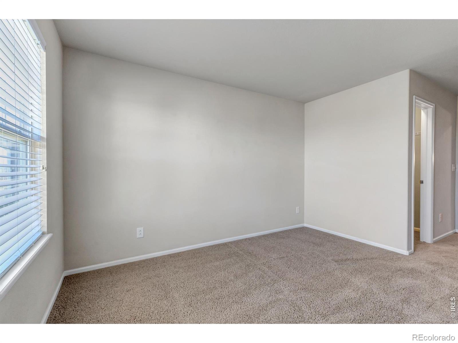 MLS Image #29 for 17016  pale anemone street,parker, Colorado