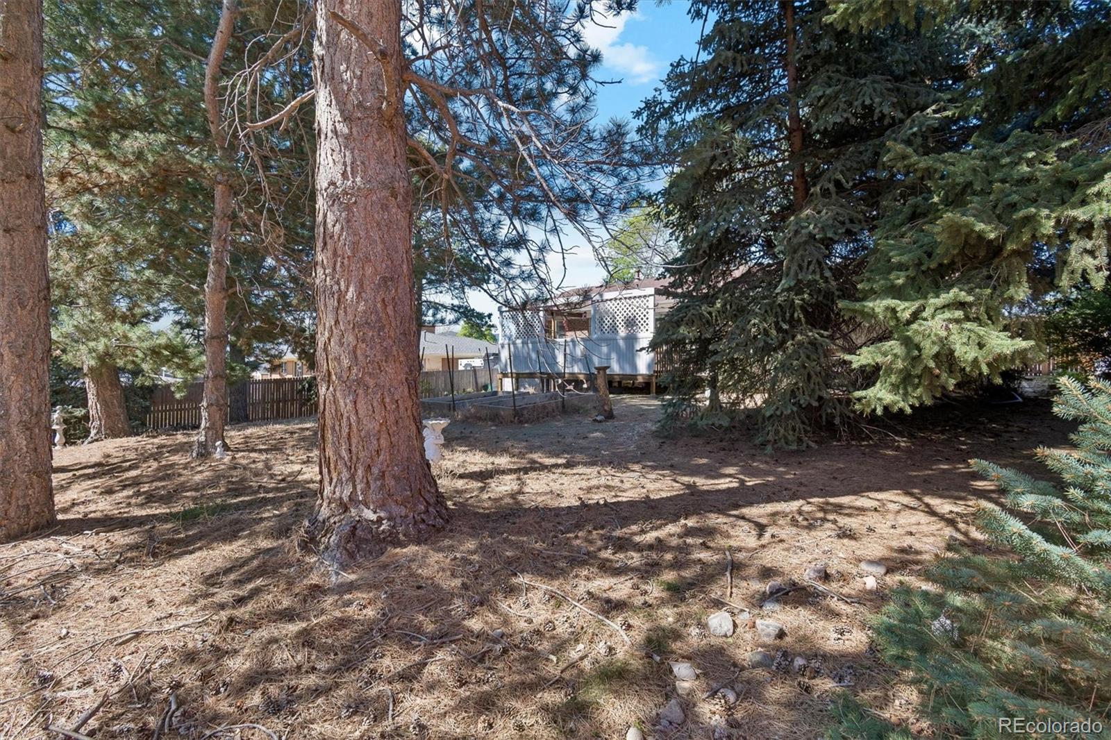 MLS Image #28 for 1856 s urban way,lakewood, Colorado