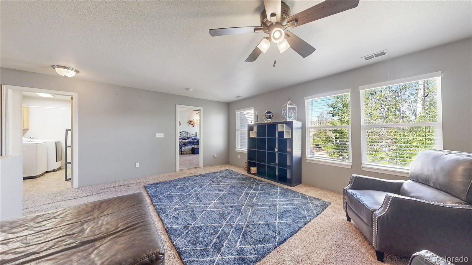 MLS Image #26 for 13771  wrangler way,mead, Colorado