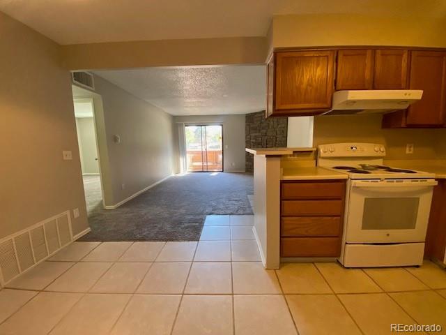 MLS Image #12 for 3275 s ammons street,lakewood, Colorado