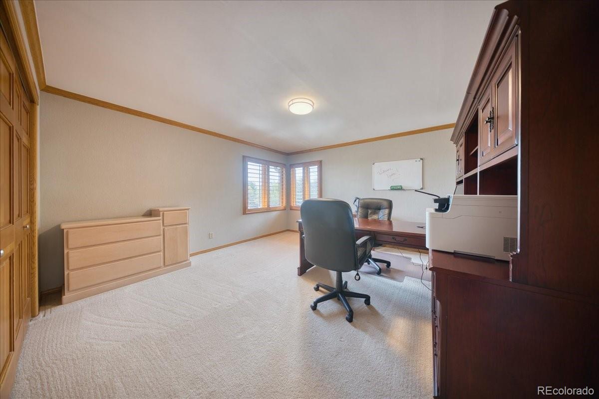 MLS Image #21 for 28 s mc intyre way,golden, Colorado
