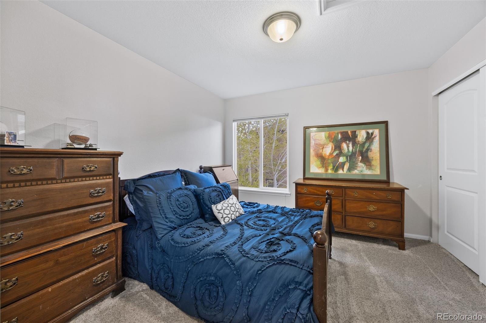MLS Image #20 for 5861  jasper pointe circle,castle pines, Colorado