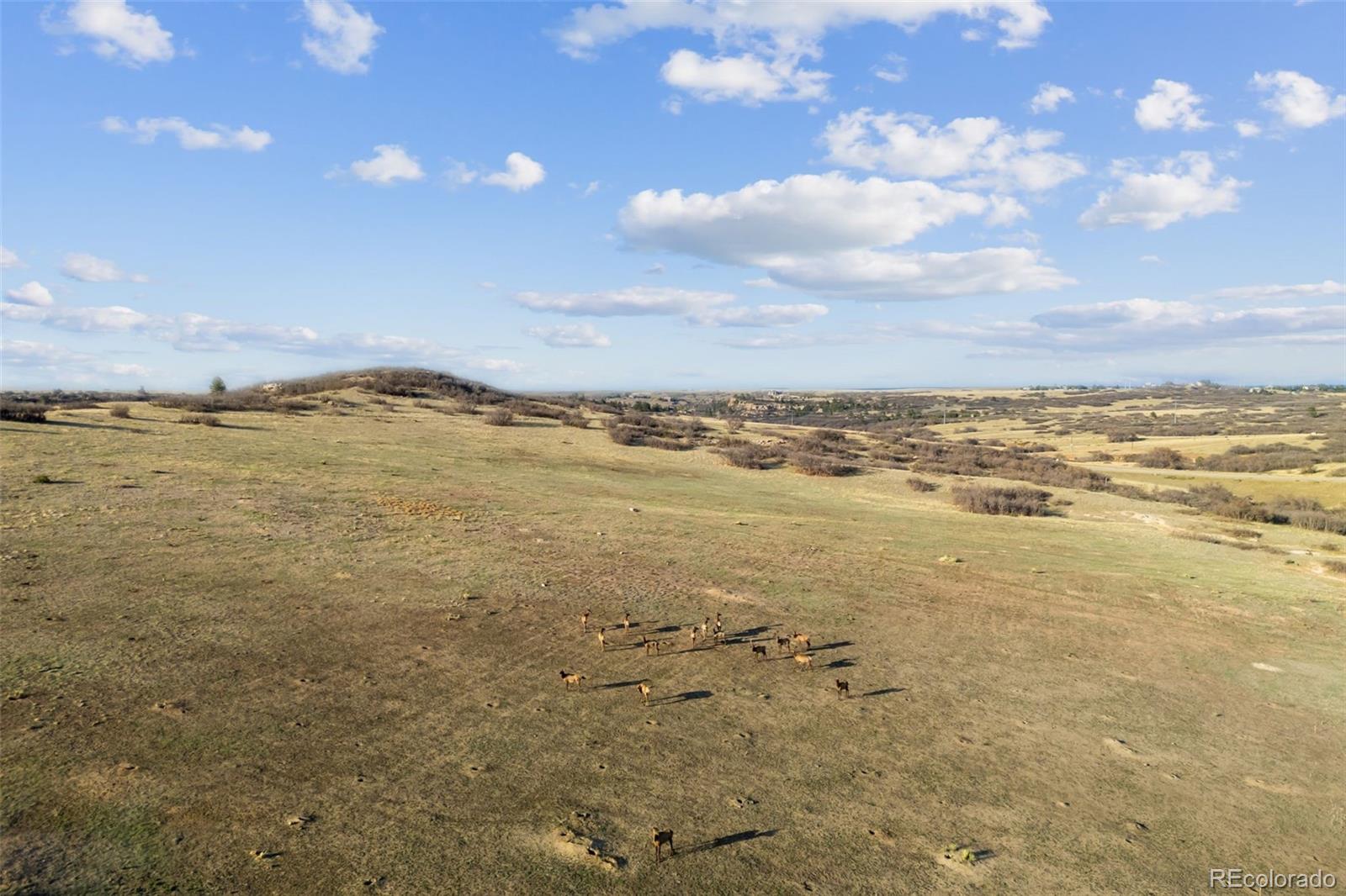 MLS Image #40 for 5861  jasper pointe circle,castle pines, Colorado