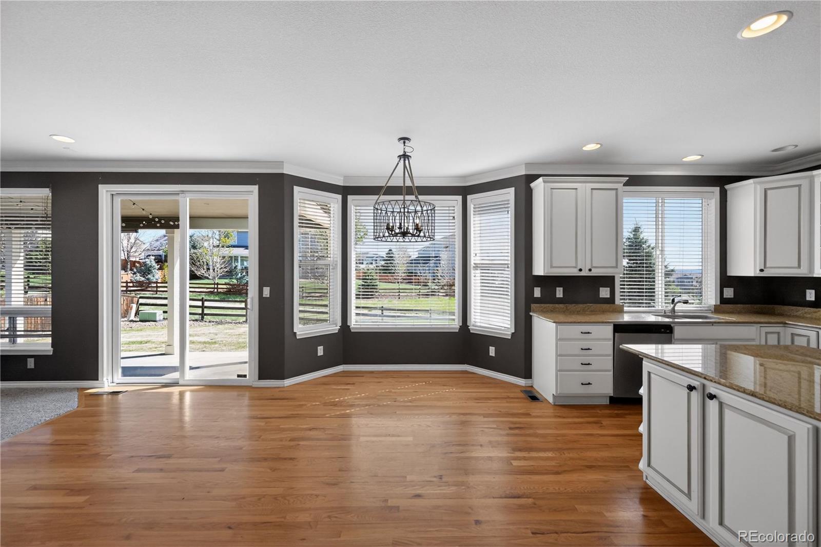 MLS Image #11 for 593  kryptonite drive,castle rock, Colorado