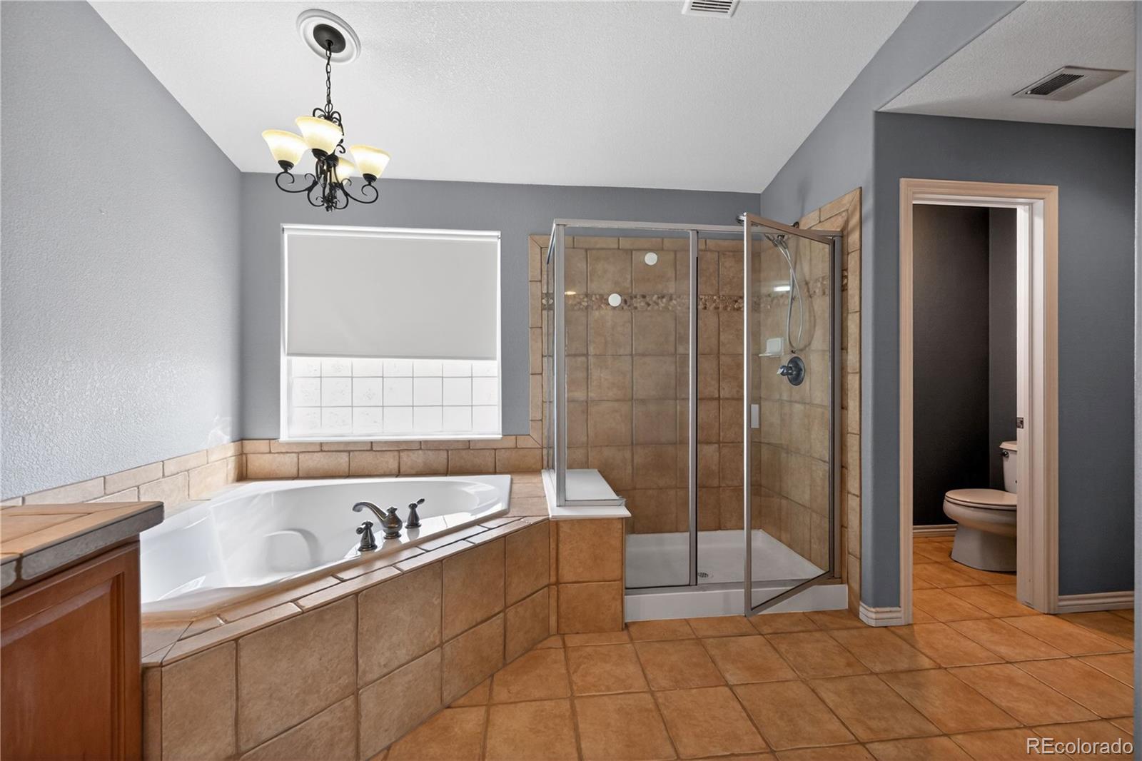 MLS Image #30 for 593  kryptonite drive,castle rock, Colorado