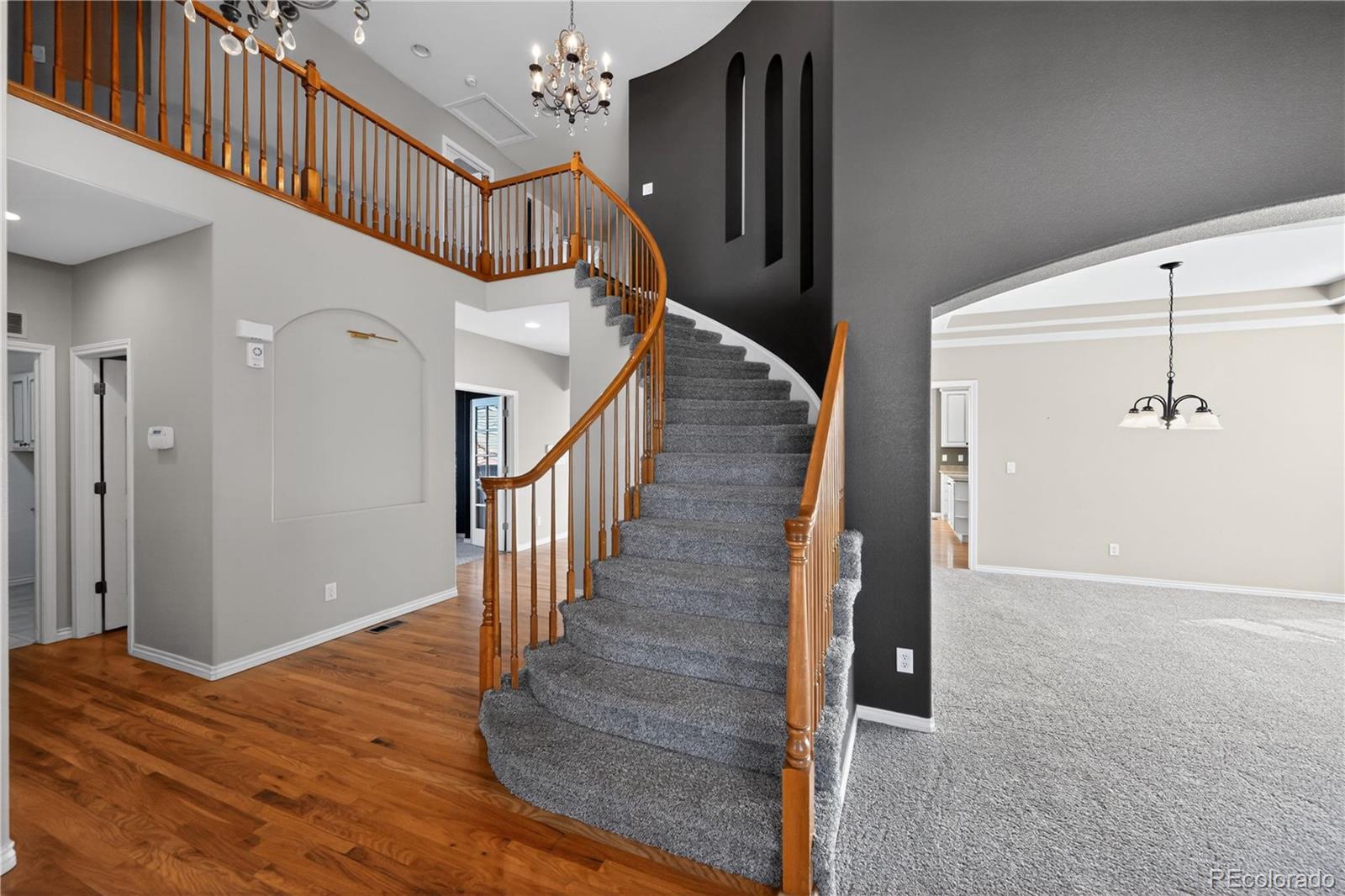 MLS Image #5 for 593  kryptonite drive,castle rock, Colorado