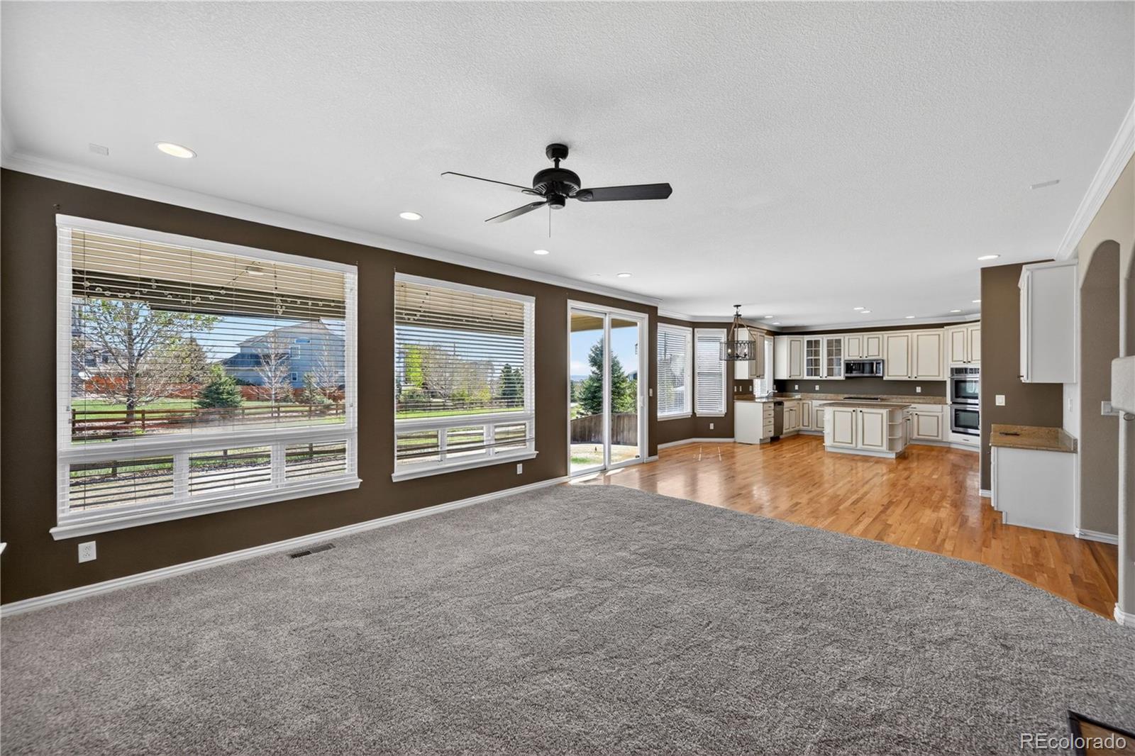 MLS Image #7 for 593  kryptonite drive,castle rock, Colorado