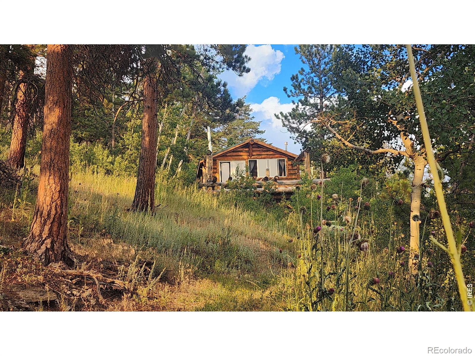 MLS Image #15 for 7026  storm mountain drive,drake, Colorado