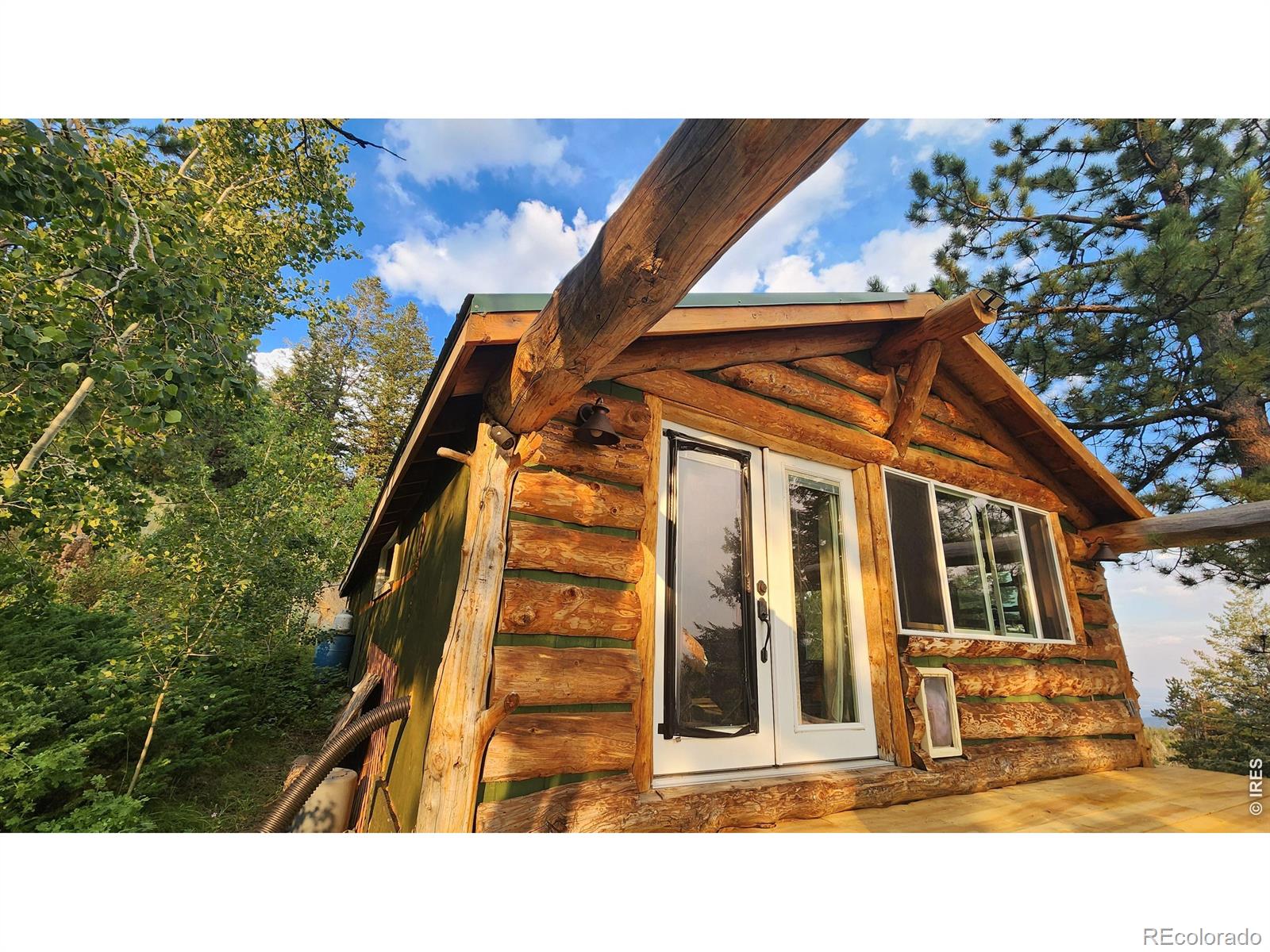 MLS Image #16 for 7026  storm mountain drive,drake, Colorado