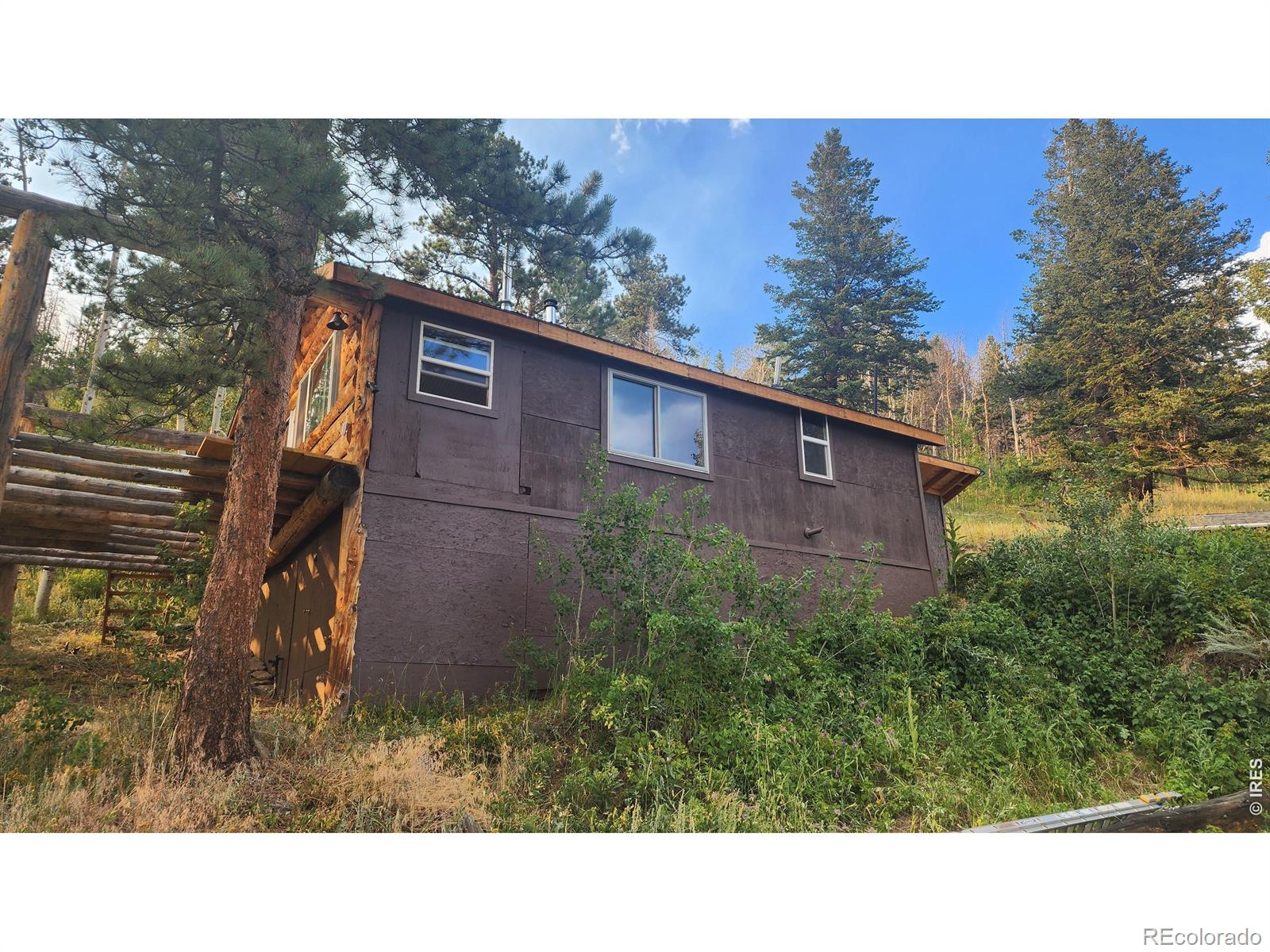 MLS Image #19 for 7026  storm mountain drive,drake, Colorado