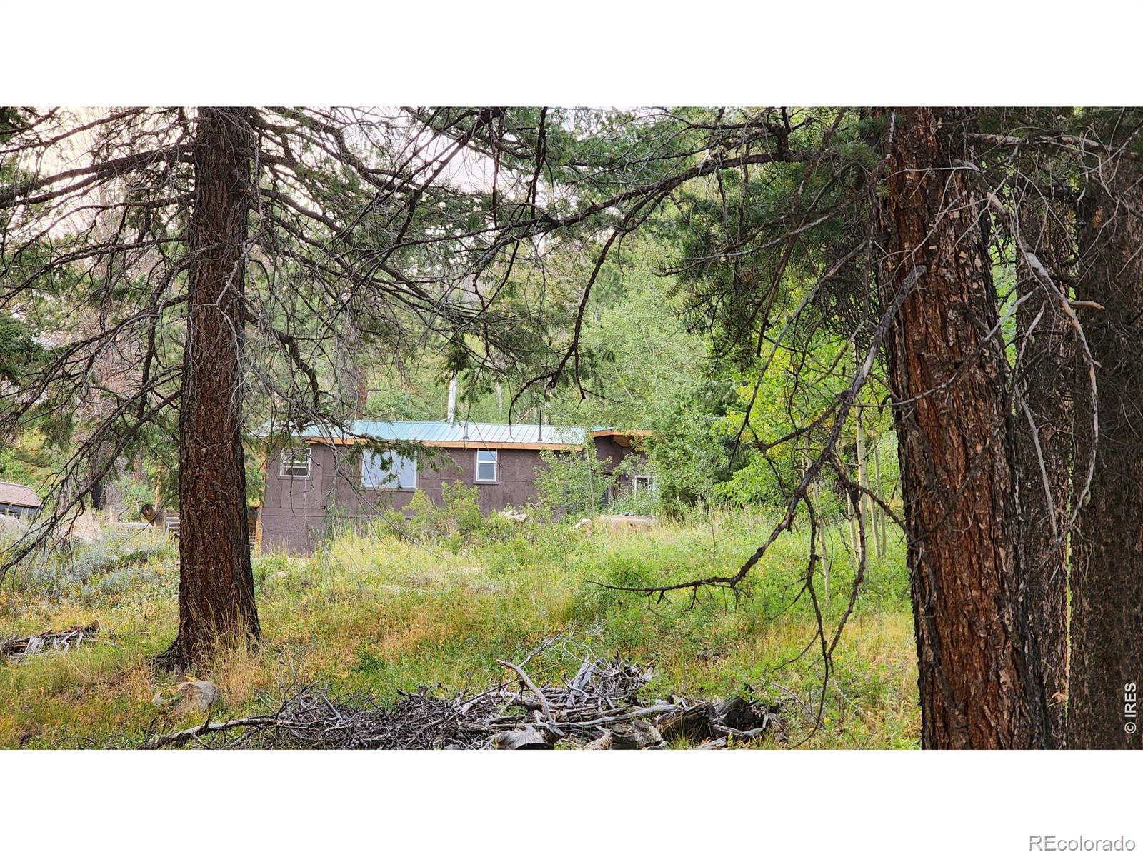 MLS Image #20 for 7026  storm mountain drive,drake, Colorado