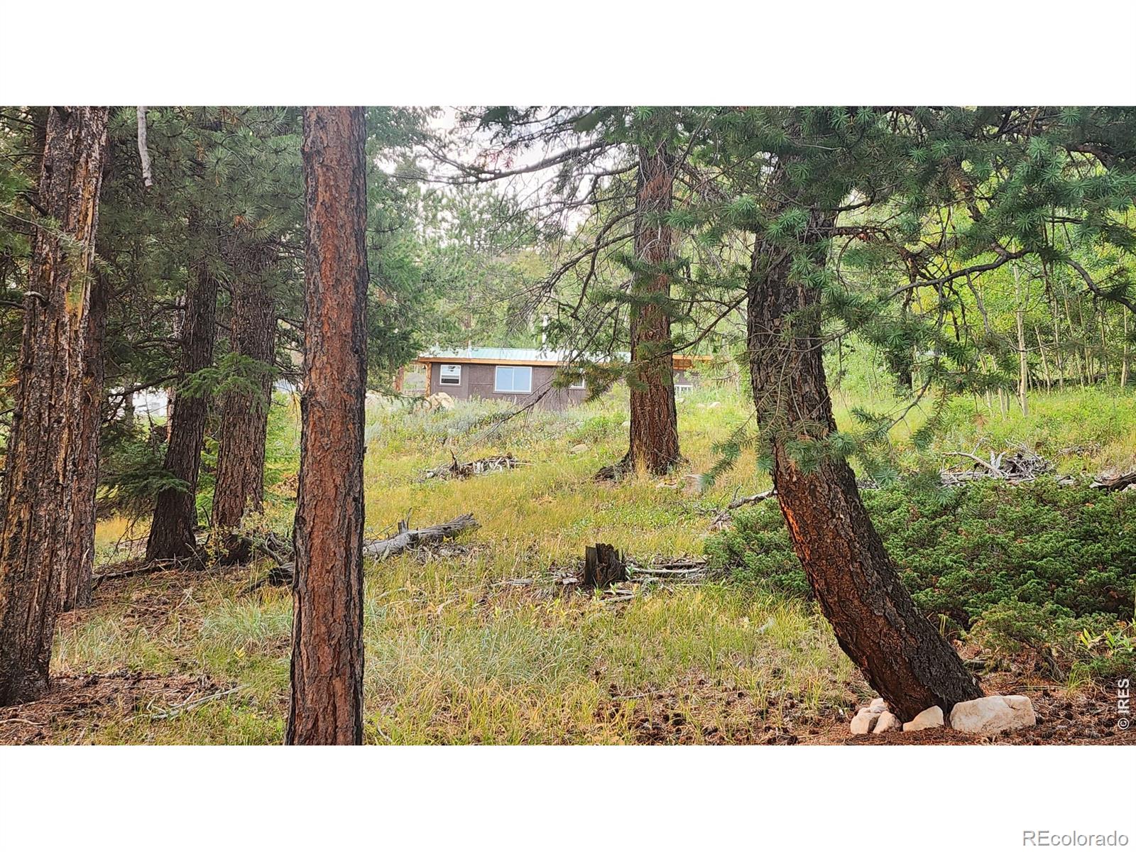 MLS Image #22 for 7026  storm mountain drive,drake, Colorado