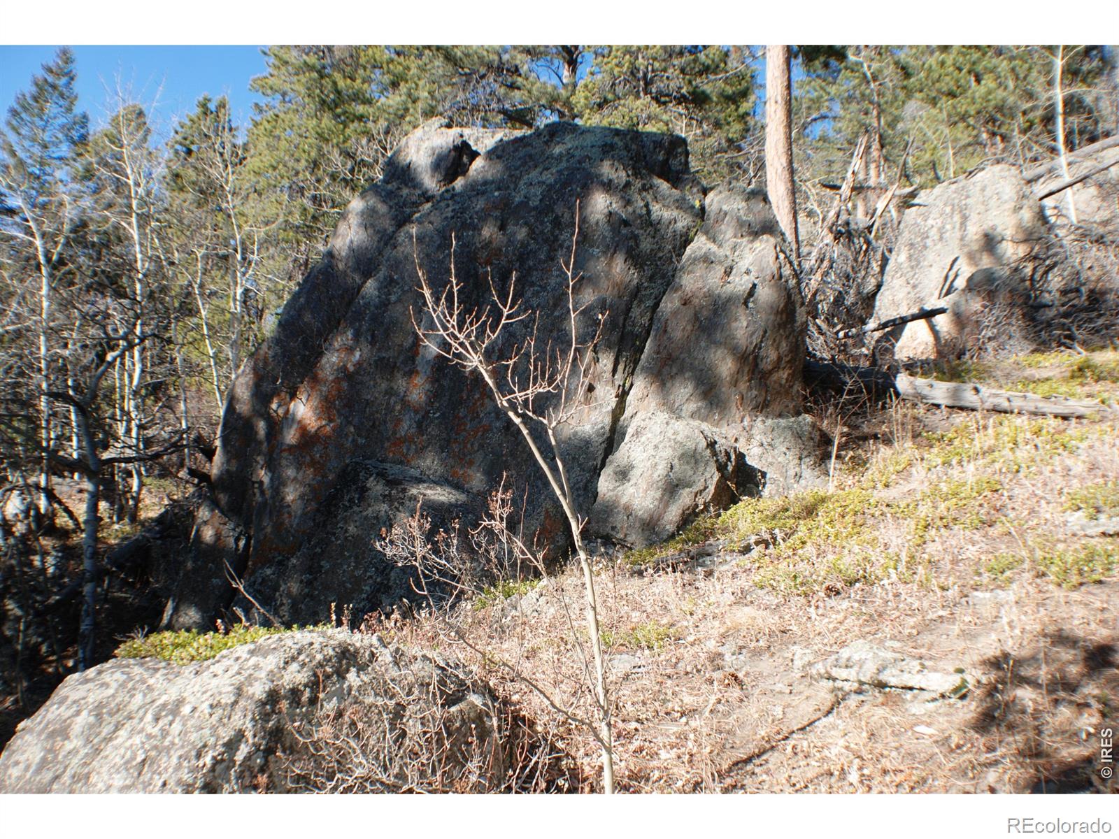 MLS Image #33 for 7026  storm mountain drive,drake, Colorado