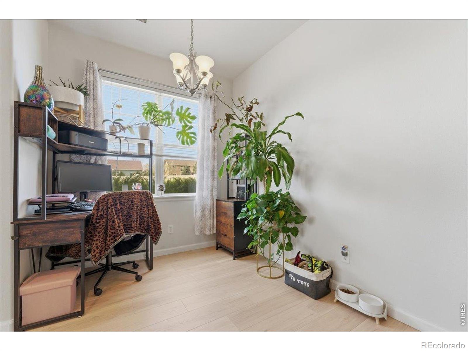 MLS Image #9 for 3329  apple blossom lane,greeley, Colorado