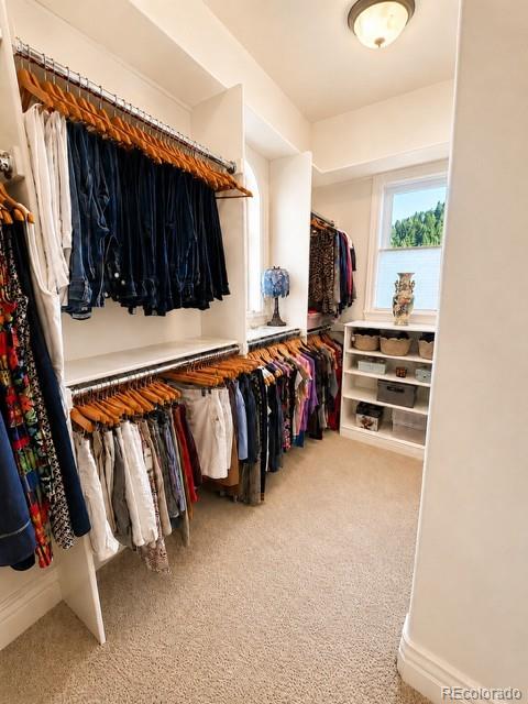 MLS Image #23 for 4625  coyote run,littleton, Colorado