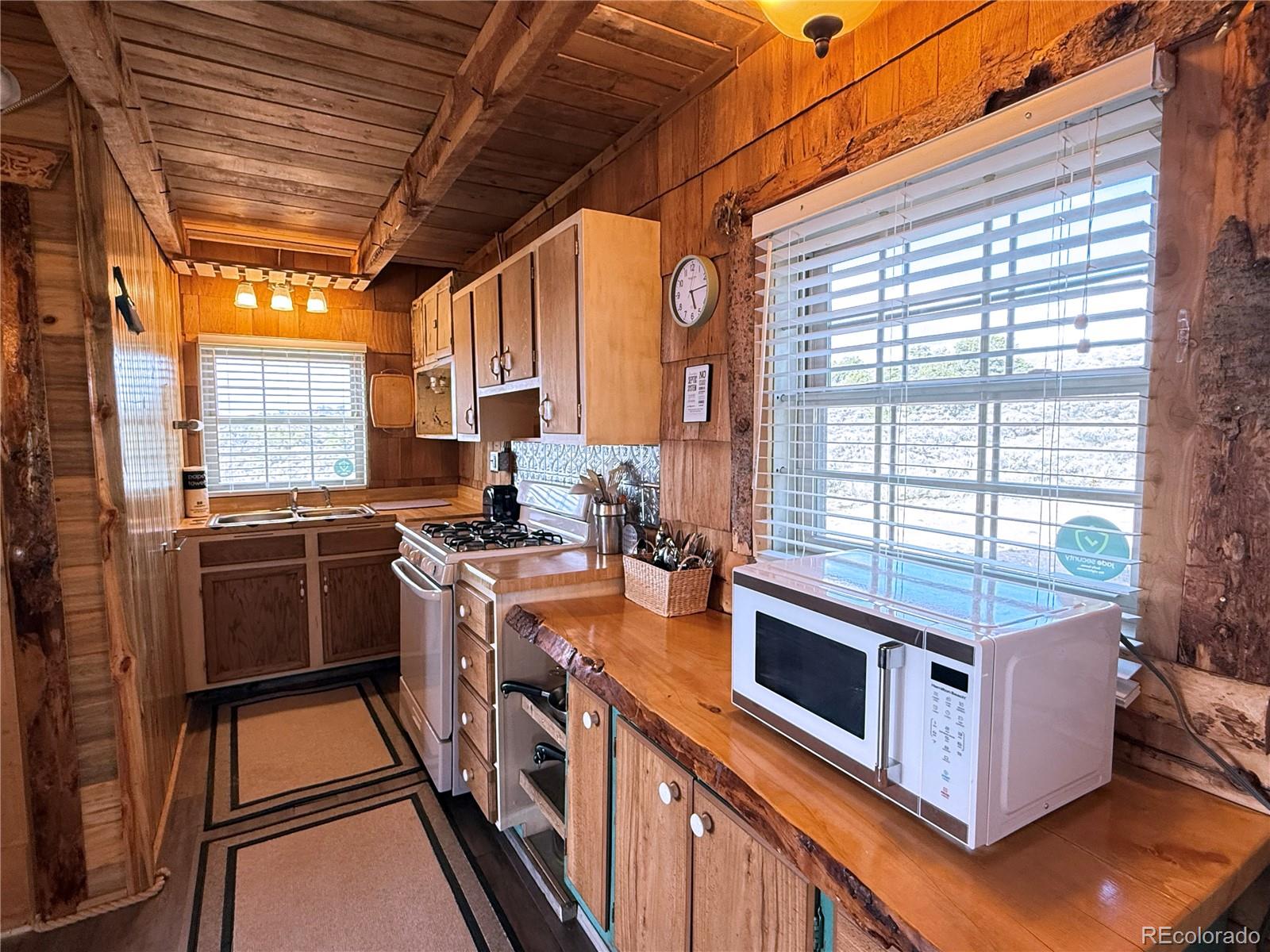 MLS Image #13 for 6132  running horse trail,san luis, Colorado
