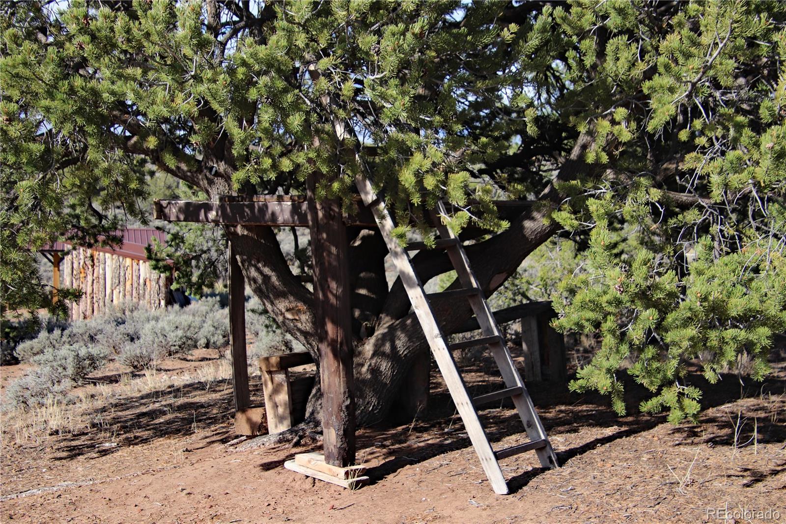 MLS Image #40 for 6132  running horse trail,san luis, Colorado