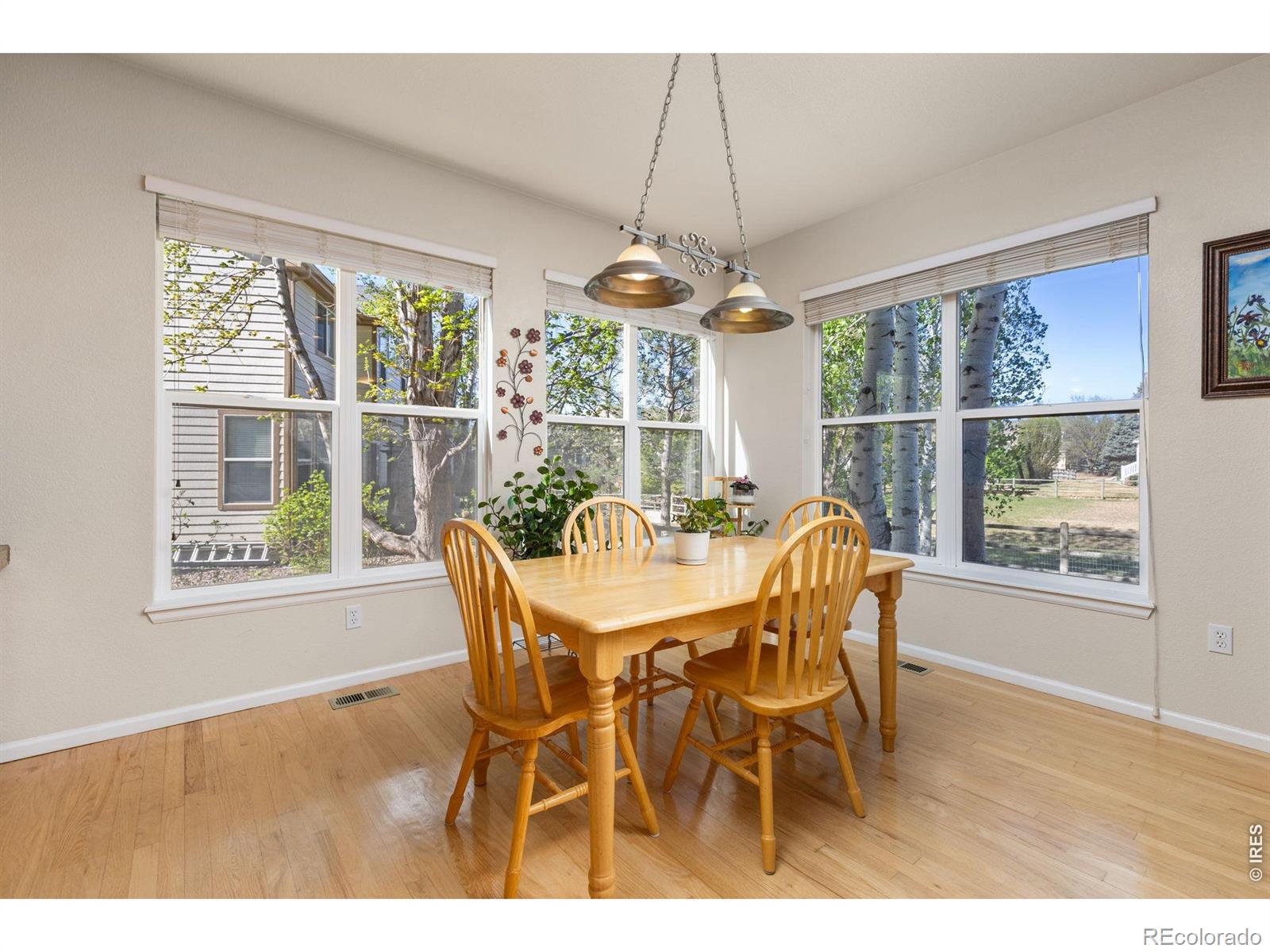 MLS Image #12 for 11721  beasly road,longmont, Colorado